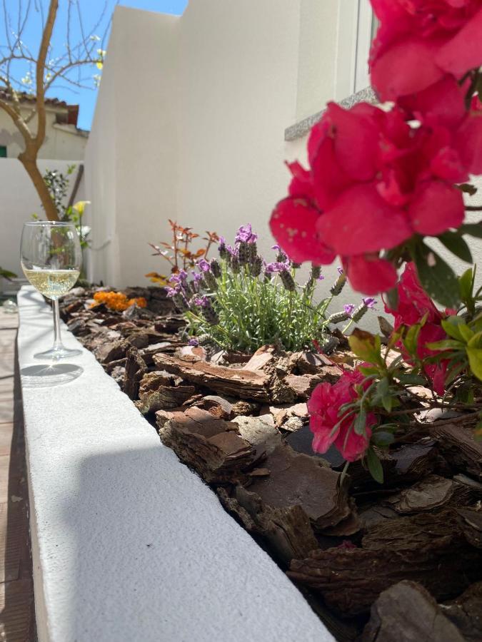 Casas Dos Seixos Villa Moledo  Ngoại thất bức ảnh